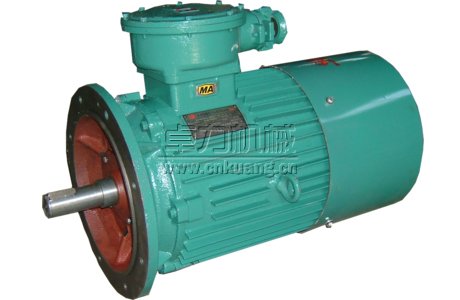 耙斗裝巖機(jī)電動機(jī)